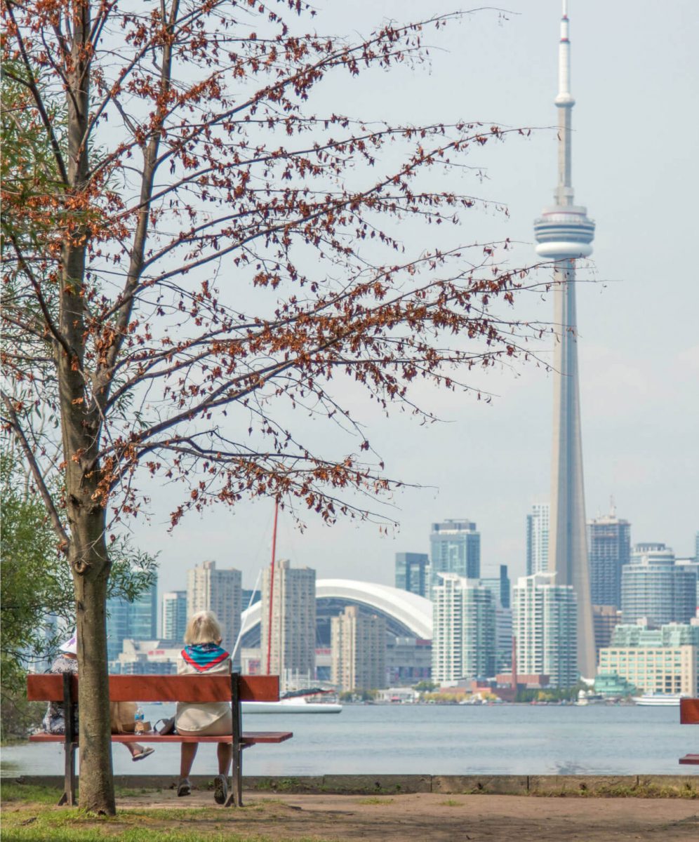 Park Bench Overlooking CN Tower