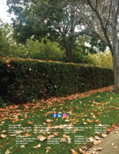 Culture-Issue-3-no-VCO_Page_18