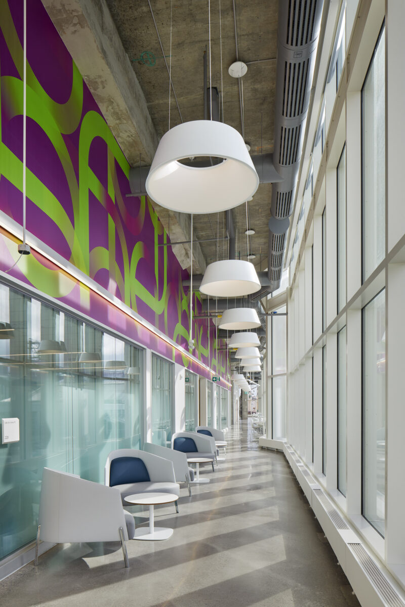 University Ontario Frances Hallway_The Collective
